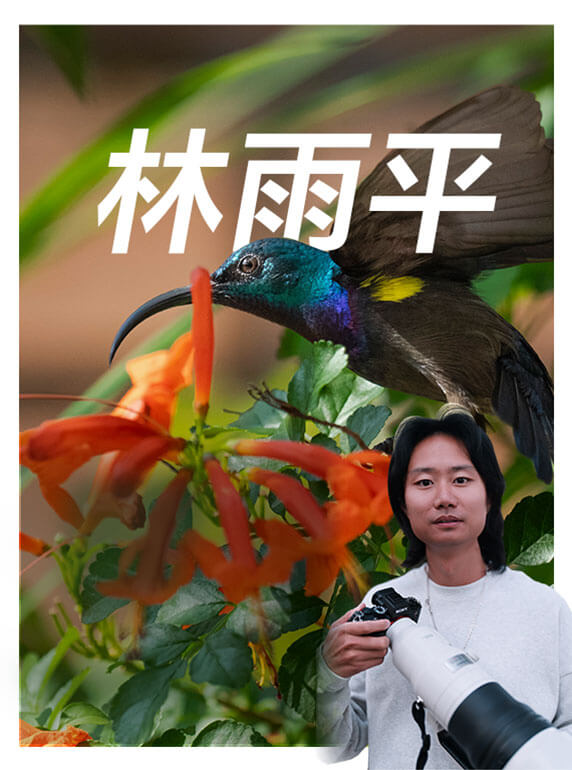 索尼双影像生态拍摄系统