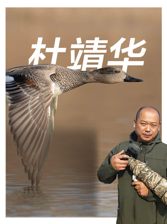索尼双影像生态拍摄系统
