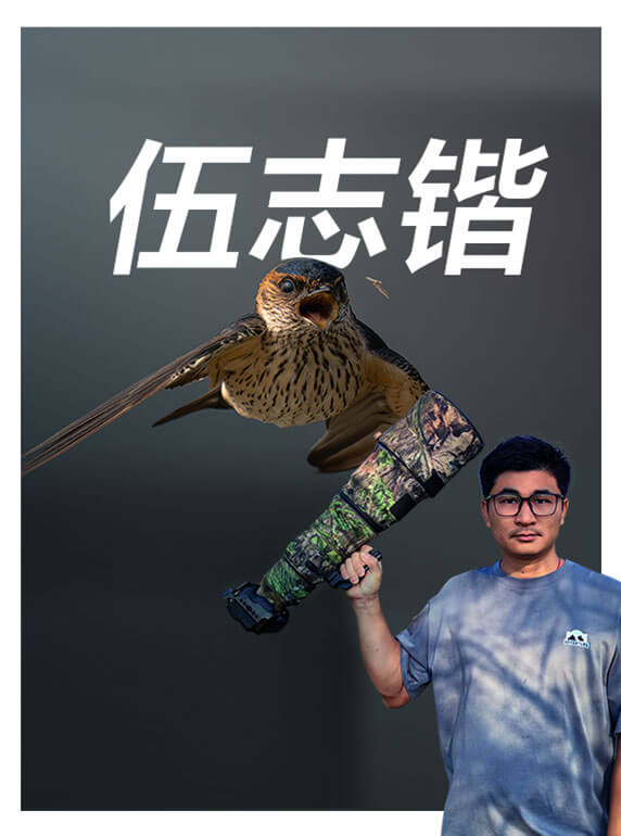 索尼双影像生态拍摄系统