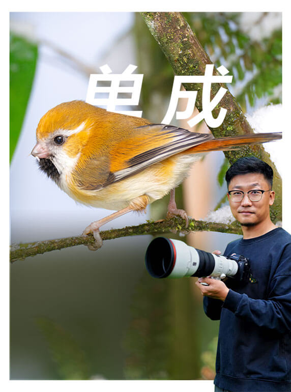 索尼双影像生态拍摄系统
