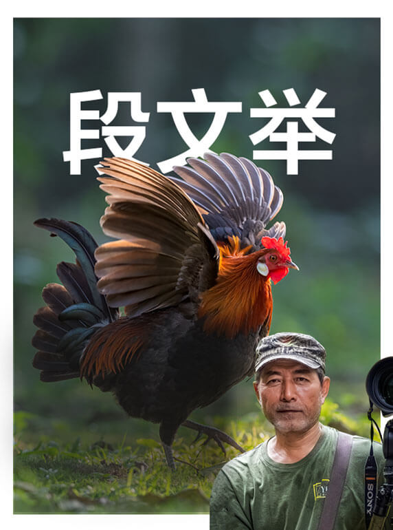 索尼双影像生态拍摄系统