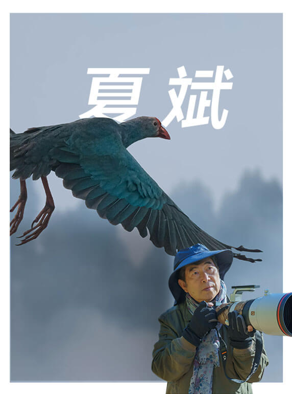 索尼双影像生态拍摄系统