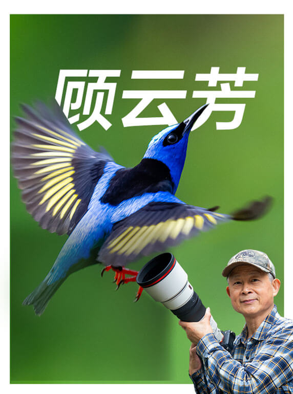 索尼双影像生态拍摄系统