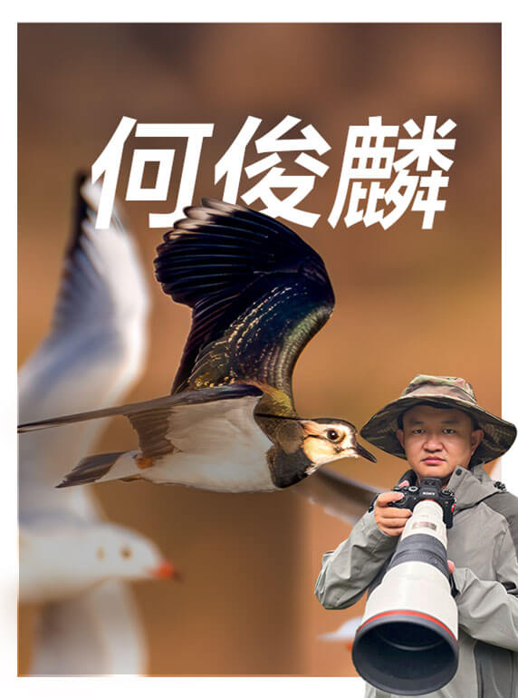 索尼双影像生态拍摄系统