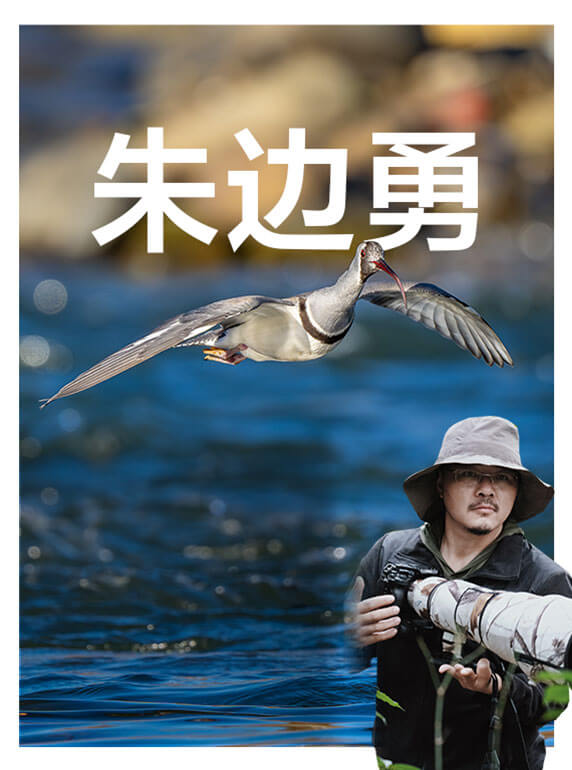 索尼双影像生态拍摄系统