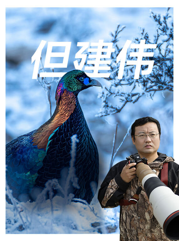 索尼双影像生态拍摄系统