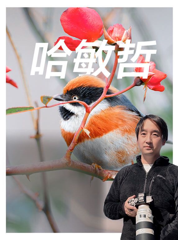 索尼双影像生态拍摄系统