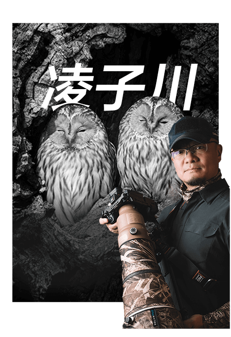 索尼双影像生态拍摄系统