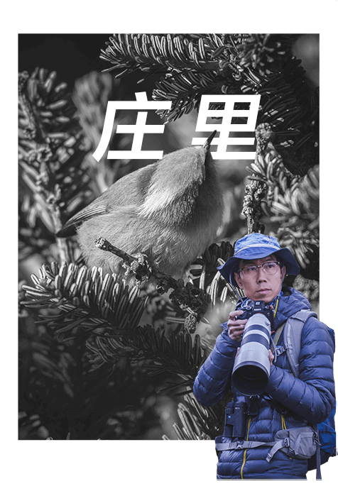 索尼双影像生态拍摄系统