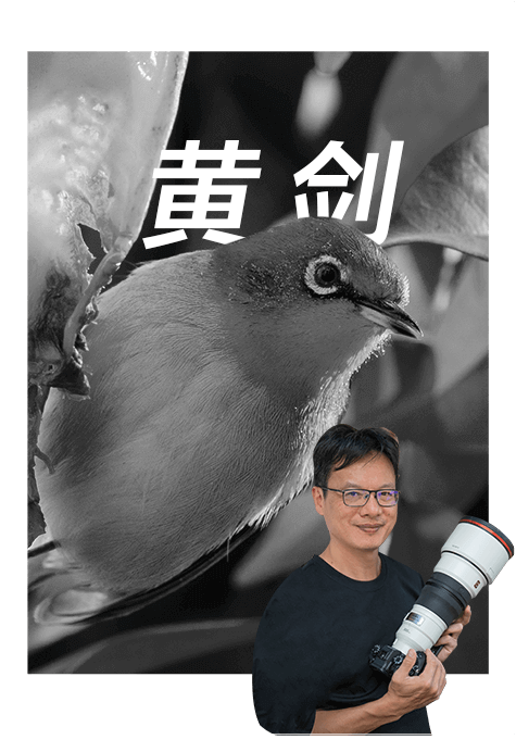 索尼双影像生态拍摄系统