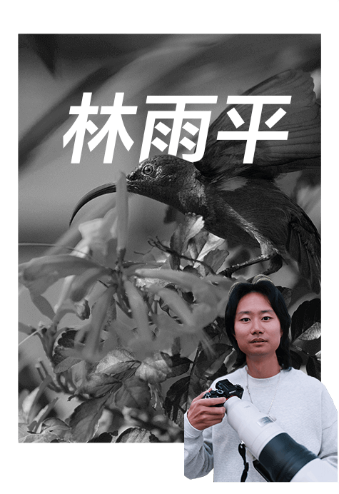 索尼双影像生态拍摄系统