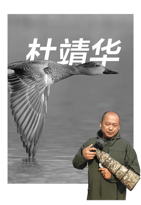 索尼双影像生态拍摄系统