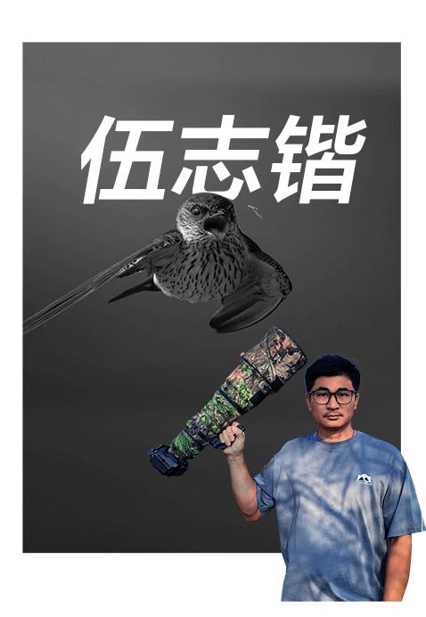 索尼双影像生态拍摄系统