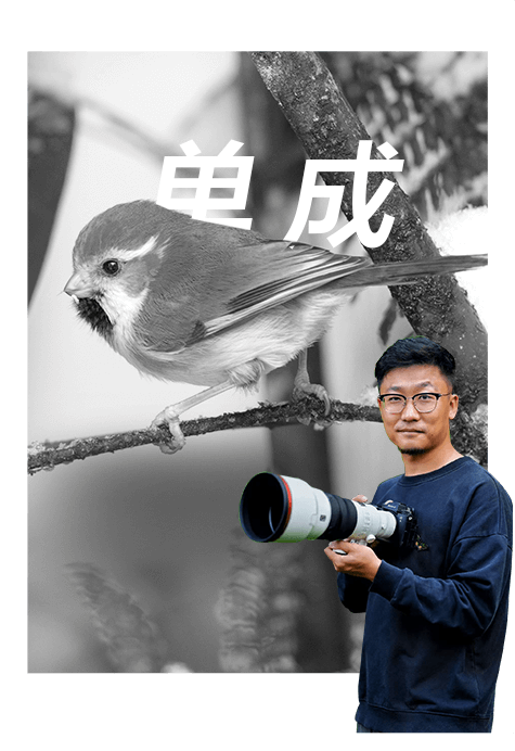 索尼双影像生态拍摄系统