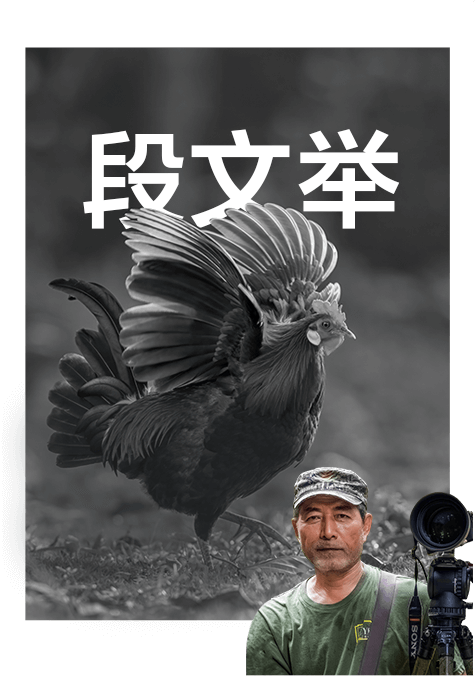 索尼双影像生态拍摄系统