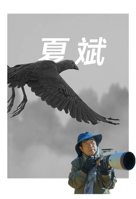 索尼双影像生态拍摄系统