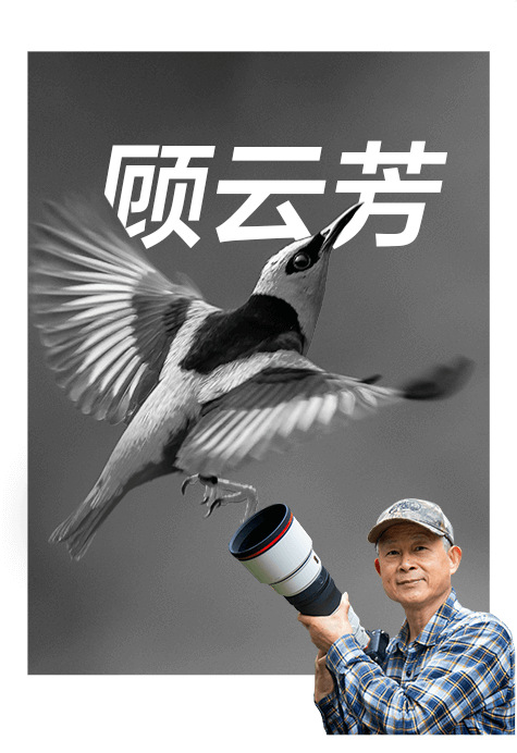 索尼双影像生态拍摄系统