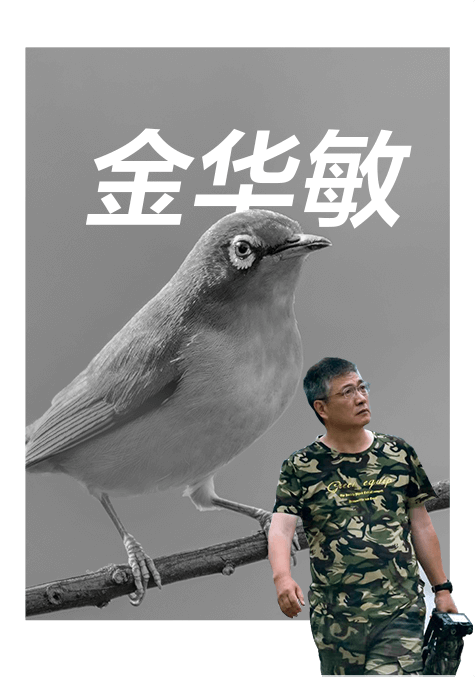 索尼双影像生态拍摄系统
