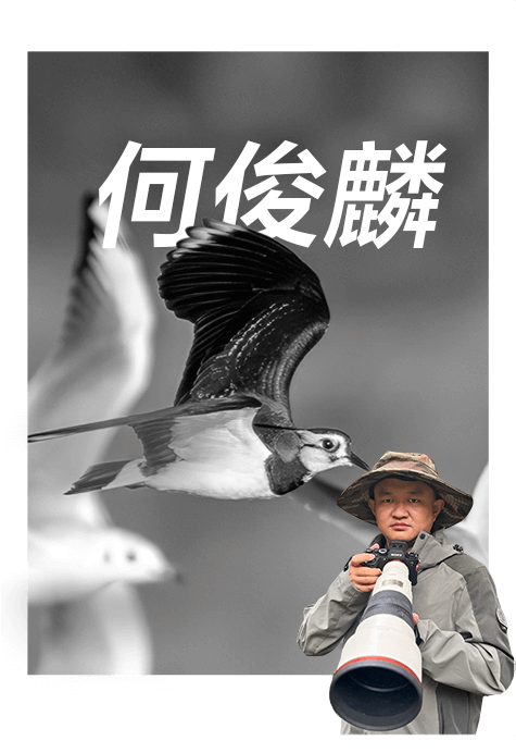 索尼双影像生态拍摄系统