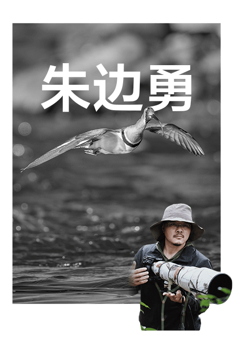 索尼双影像生态拍摄系统