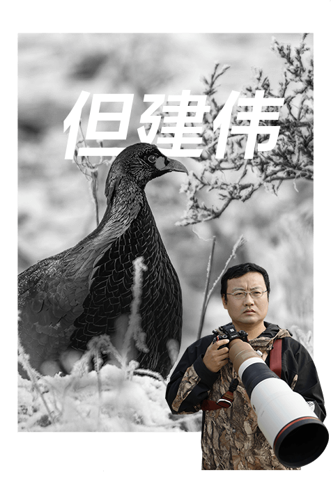 索尼双影像生态拍摄系统