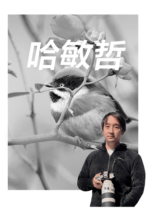 索尼双影像生态拍摄系统