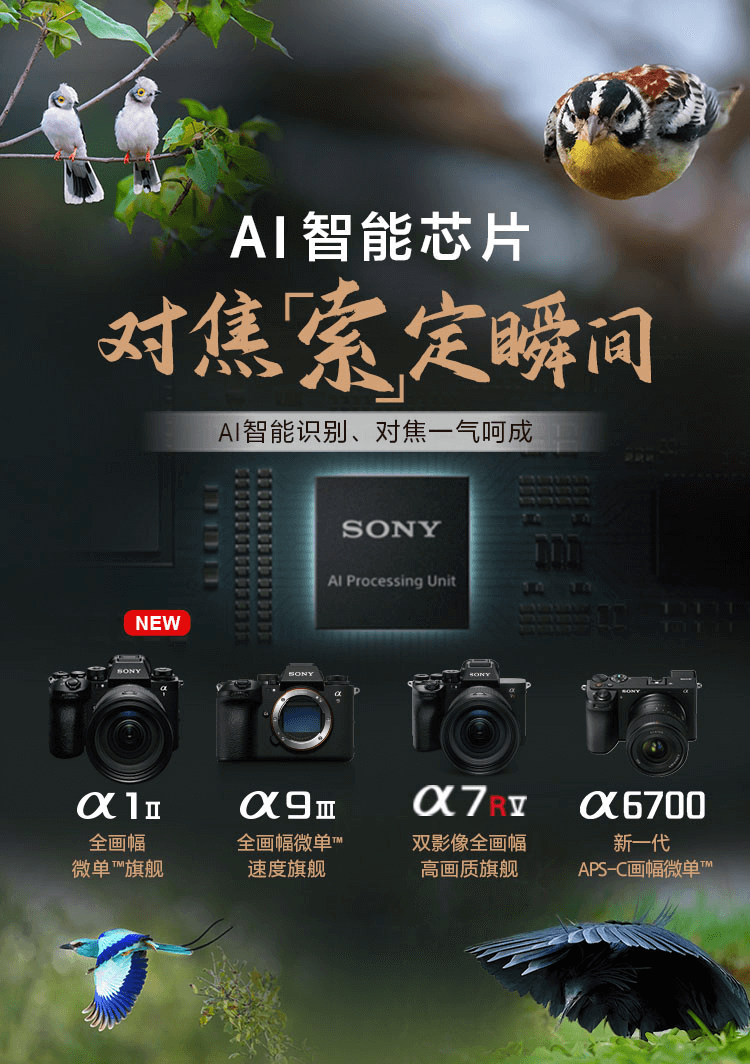 索尼双影像生态拍摄系统