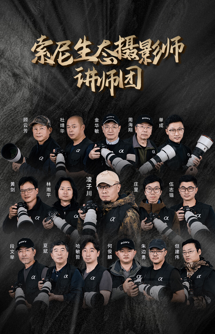 索尼双影像生态拍摄系统