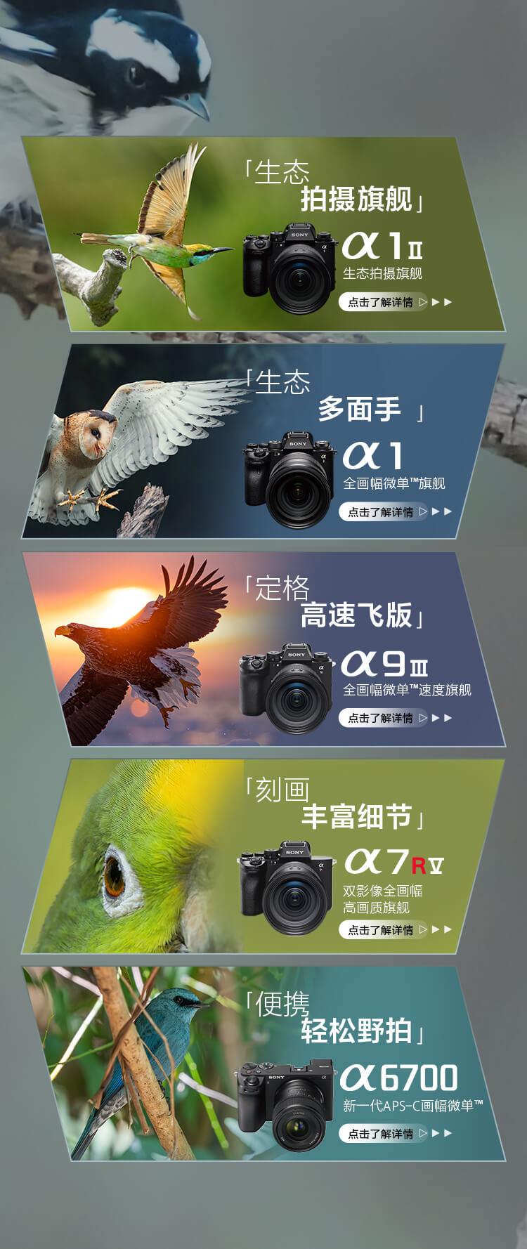 索尼双影像生态拍摄系统