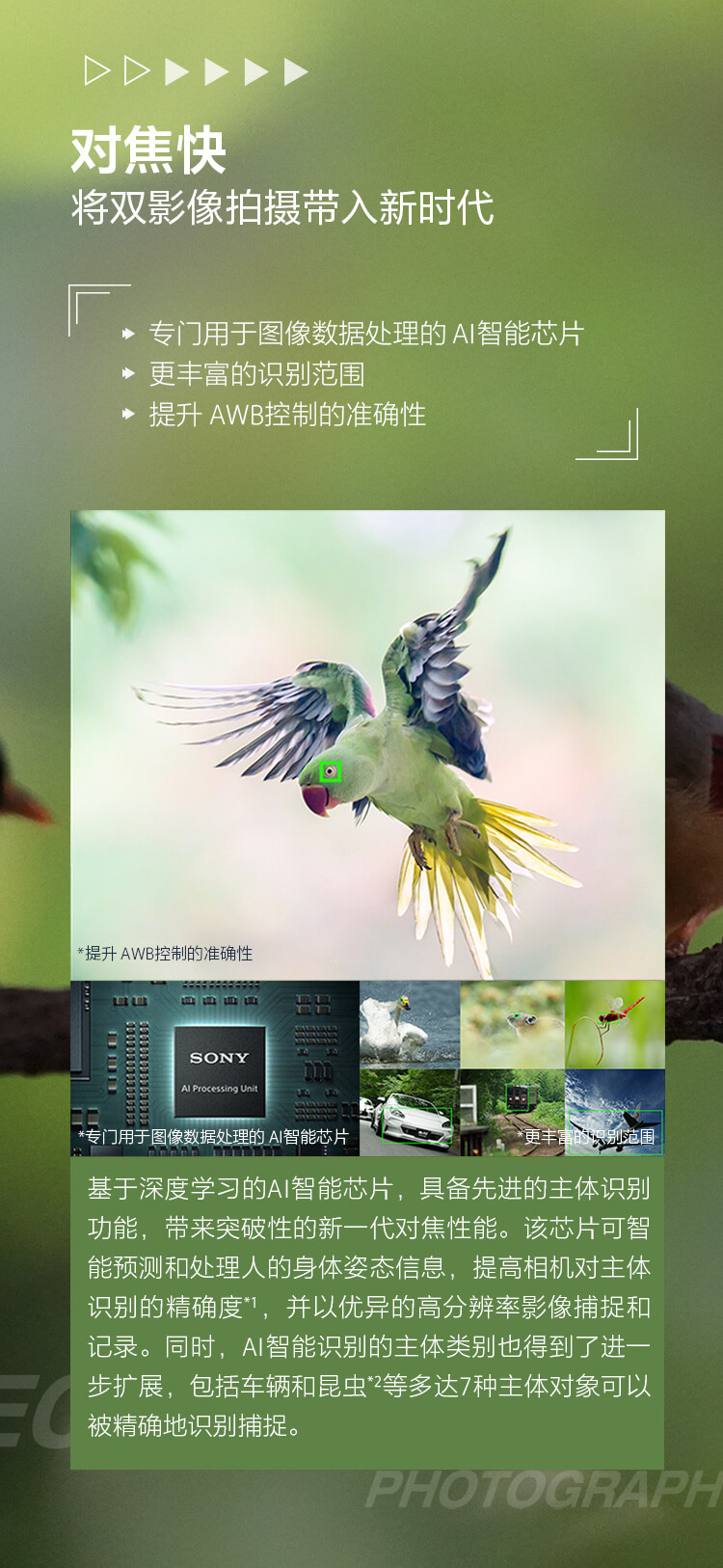索尼双影像生态拍摄系统