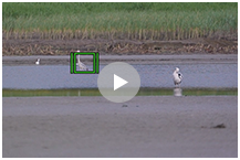 索尼微单 捕捉生命精彩瞬间