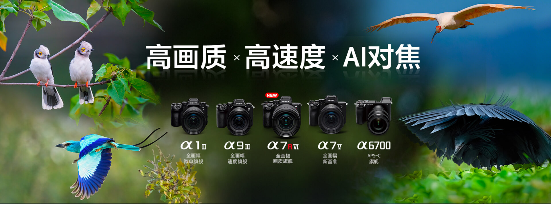 索尼双影像生态拍摄系统