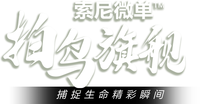 索尼微单™拍鸟旗舰