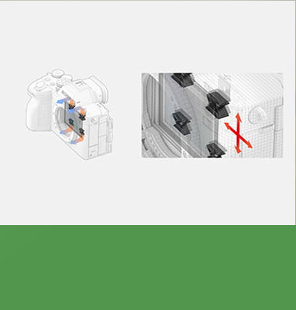 索尼微单™拍鸟旗舰