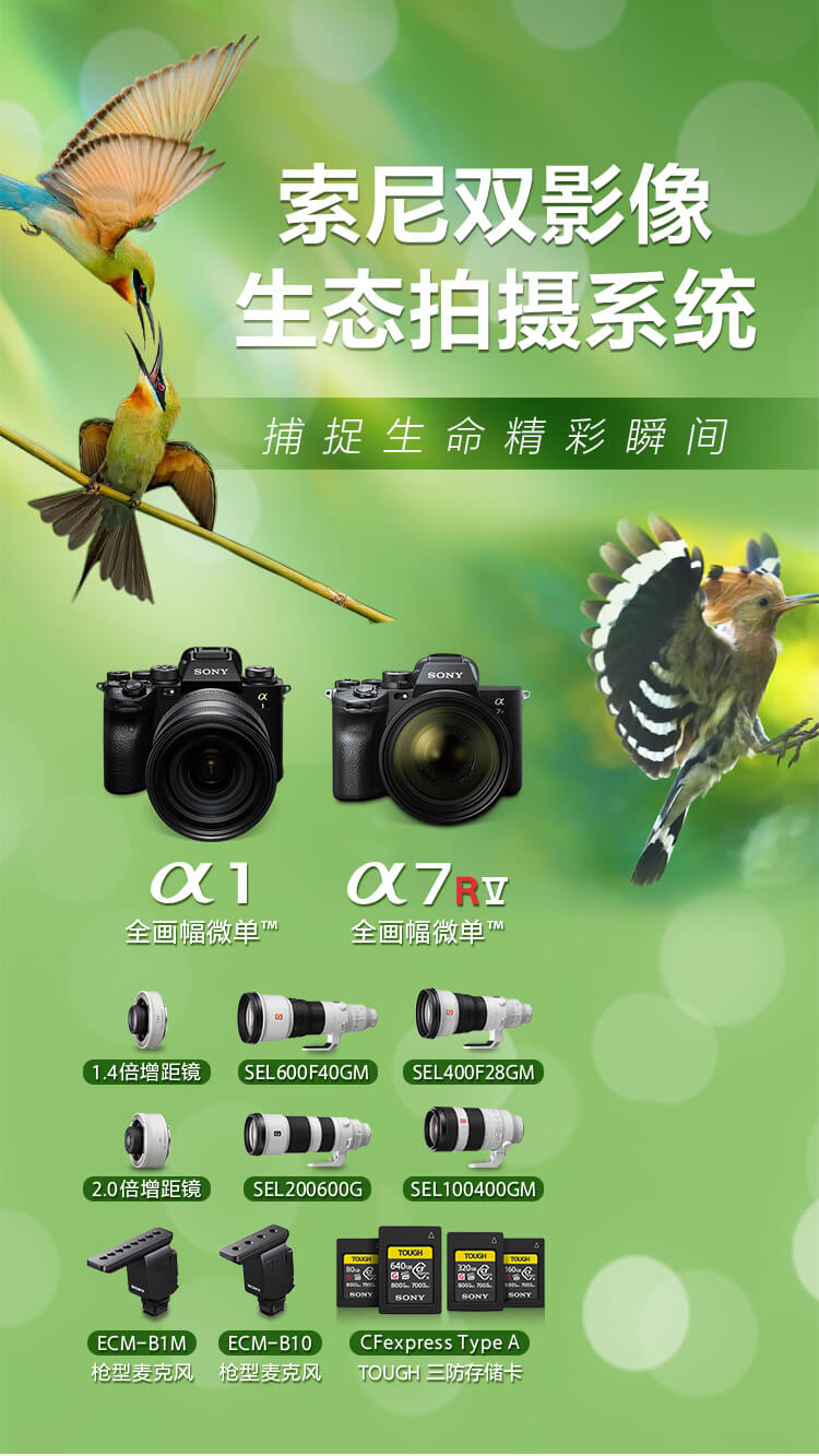 索尼微单™拍鸟旗舰