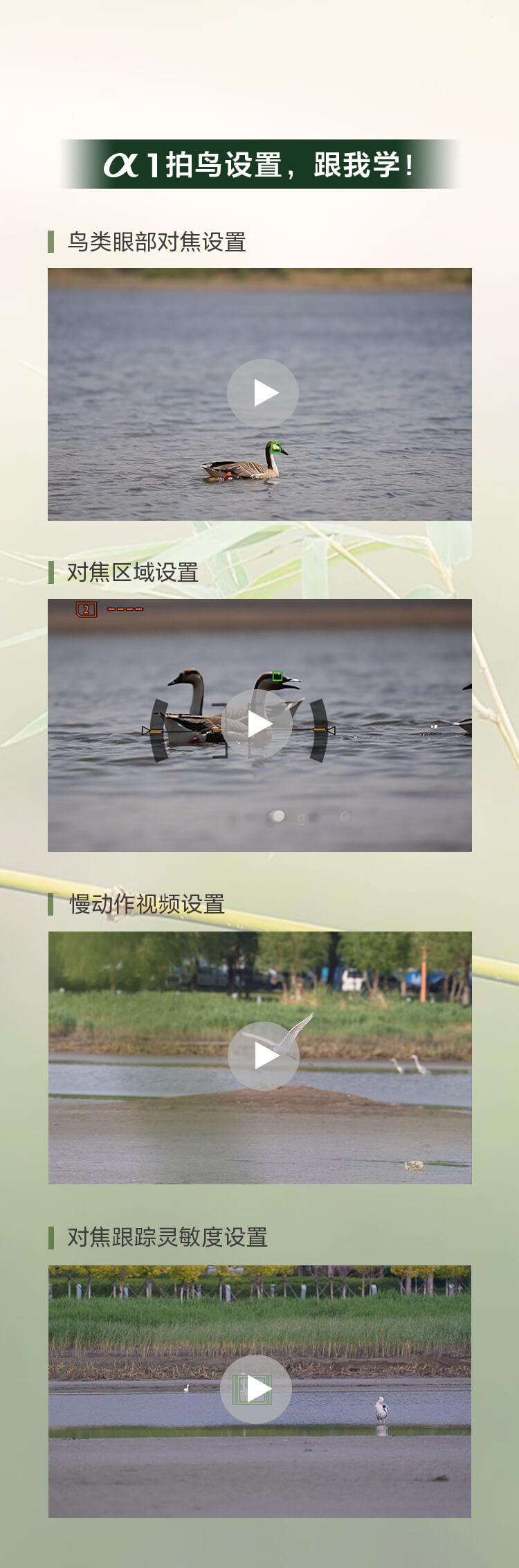 索尼微单 捕捉生命精彩瞬间