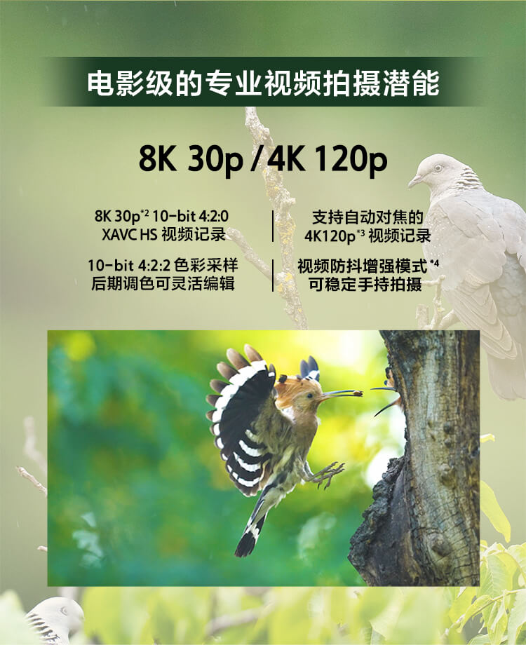 索尼微单™拍鸟旗舰