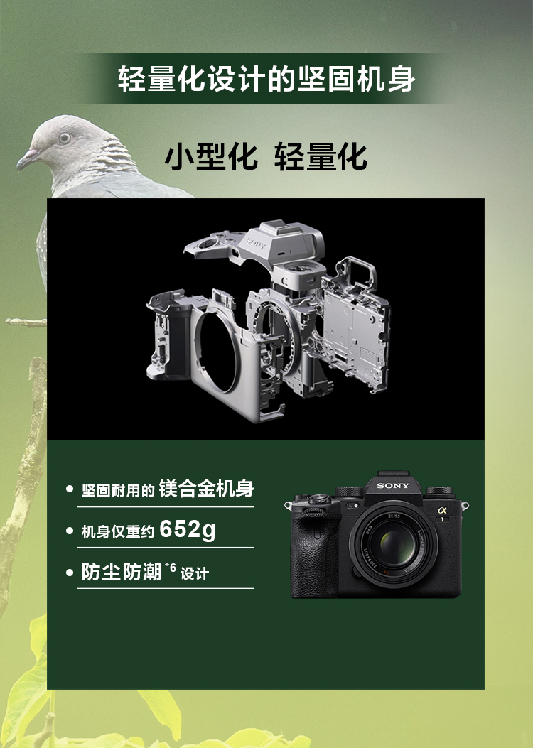 索尼微单™拍鸟旗舰