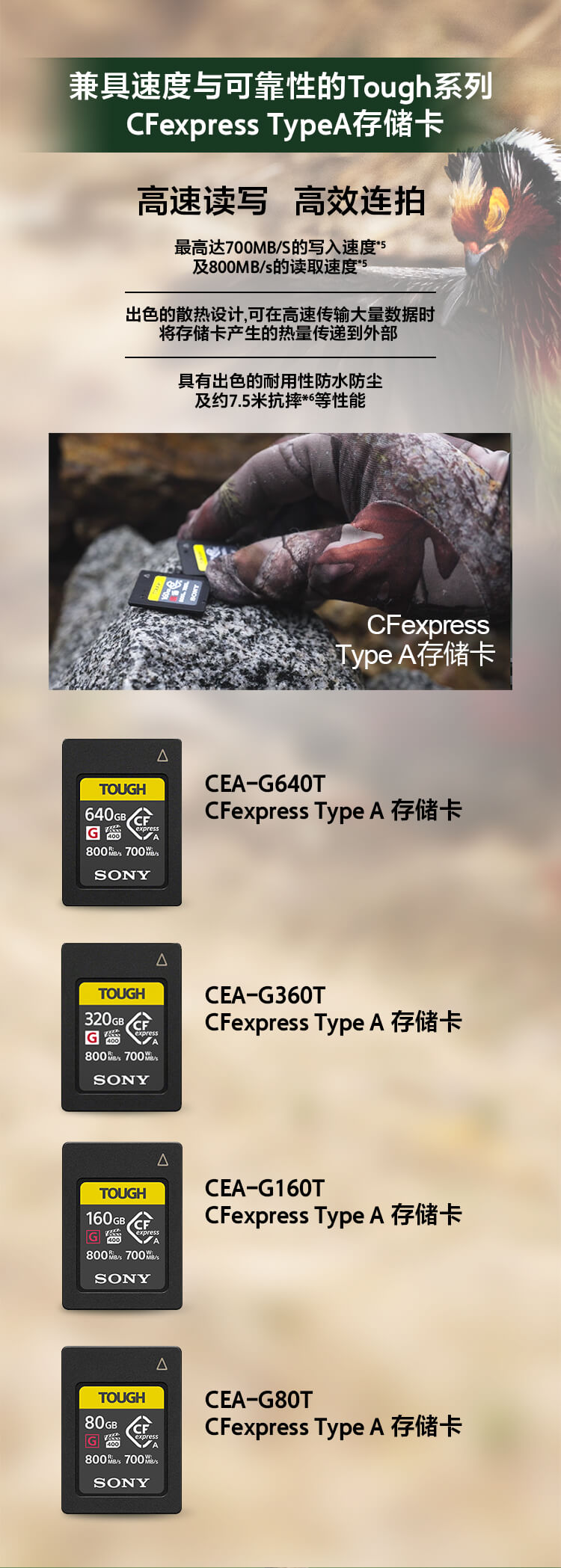 索尼微单™拍鸟旗舰