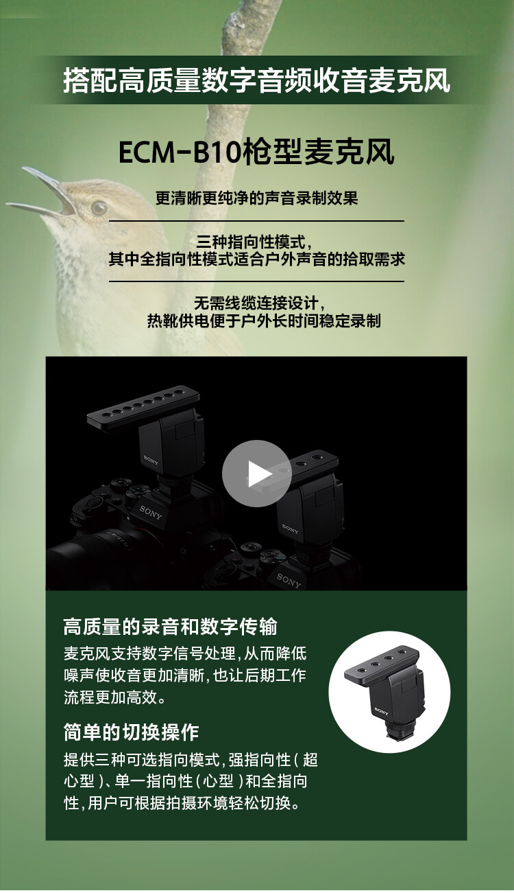 索尼微单™拍鸟旗舰