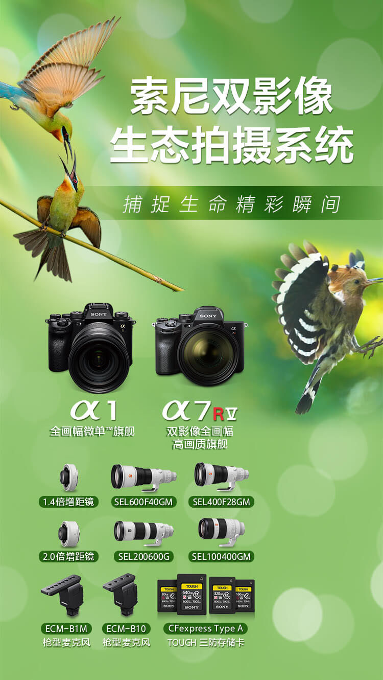 索尼微单™拍鸟旗舰