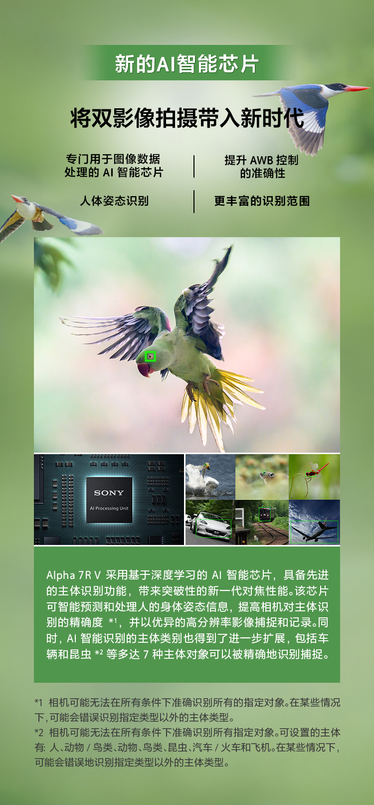 索尼微单™拍鸟旗舰