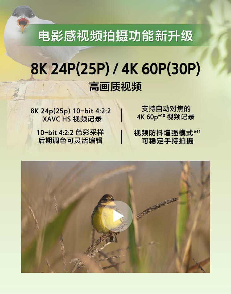 索尼微单™拍鸟旗舰