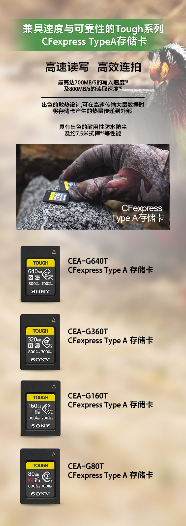 索尼微单™拍鸟旗舰