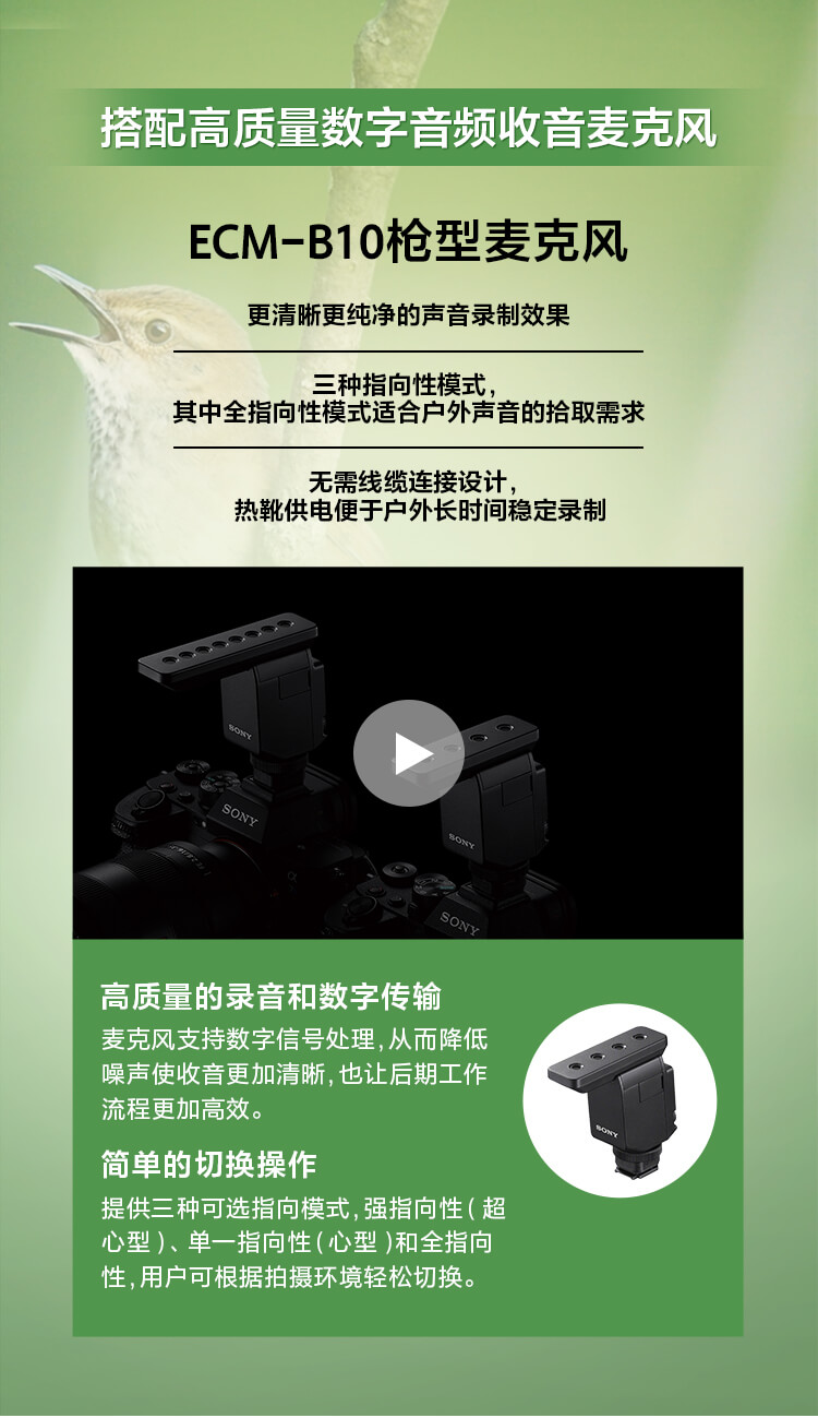 索尼微单™拍鸟旗舰