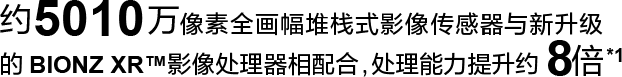 索尼微单™拍鸟旗舰