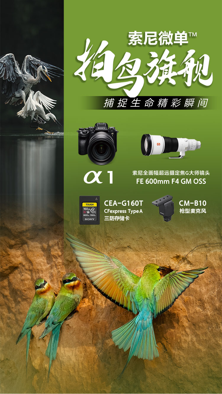 索尼微单™拍鸟旗舰