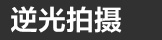 样照欣赏