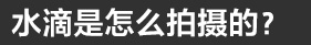 样照欣赏
