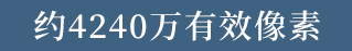 样照欣赏